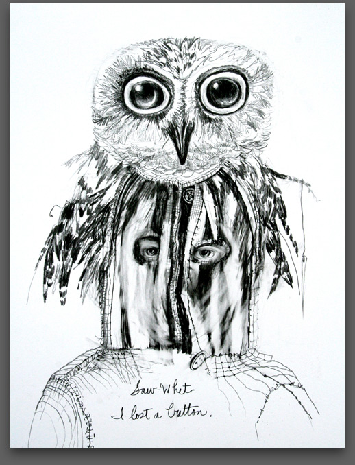 Saw-Whet Owl And The Lost Button